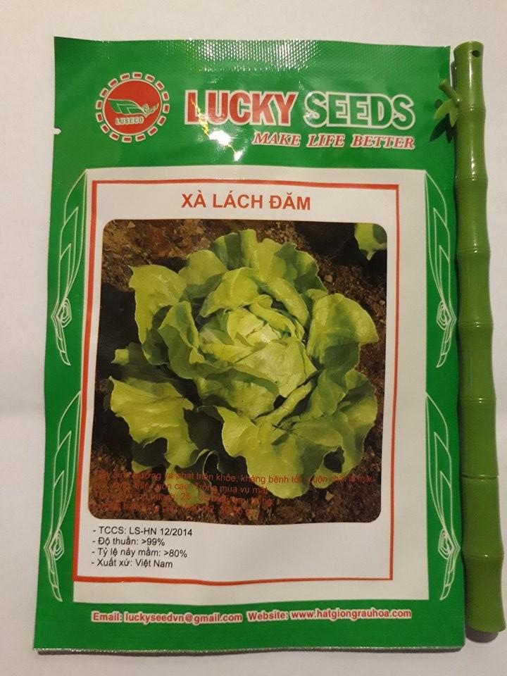 Hạt Giống Xà lách đăm xanh( 2gr/gói )