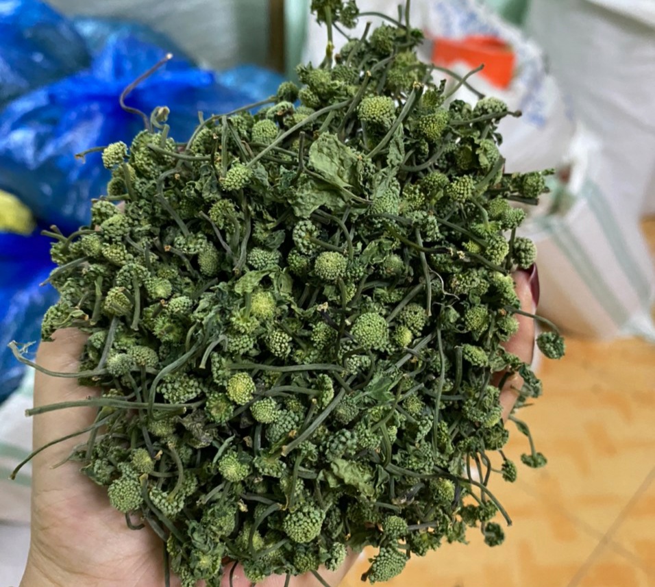 1kg Nụ hoa tam thất