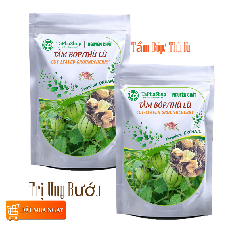 Cây tầm bóp khô 1kg - tấn phát