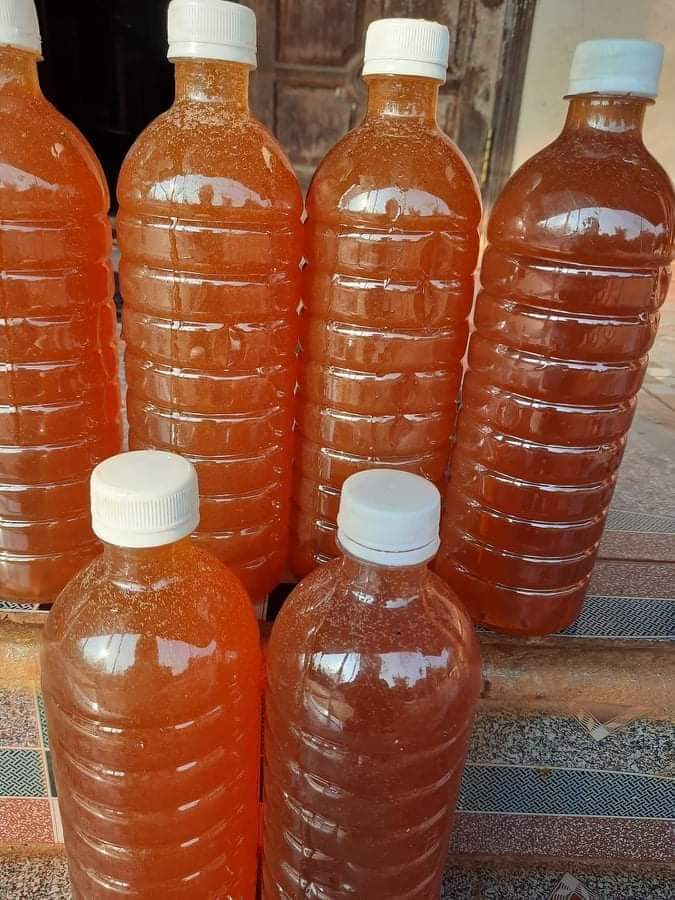 Mật ong rừng hoa cà phê Daklak 1lít hàng chuẩn