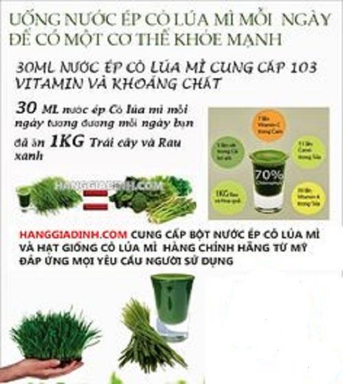 Bột cỏ lúa mì khu vườn của mẹ
