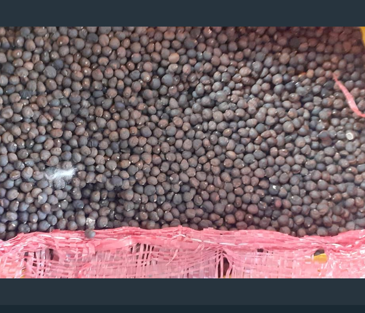 Hạt giống cây bông gòn (gạo xanh) - 100gram