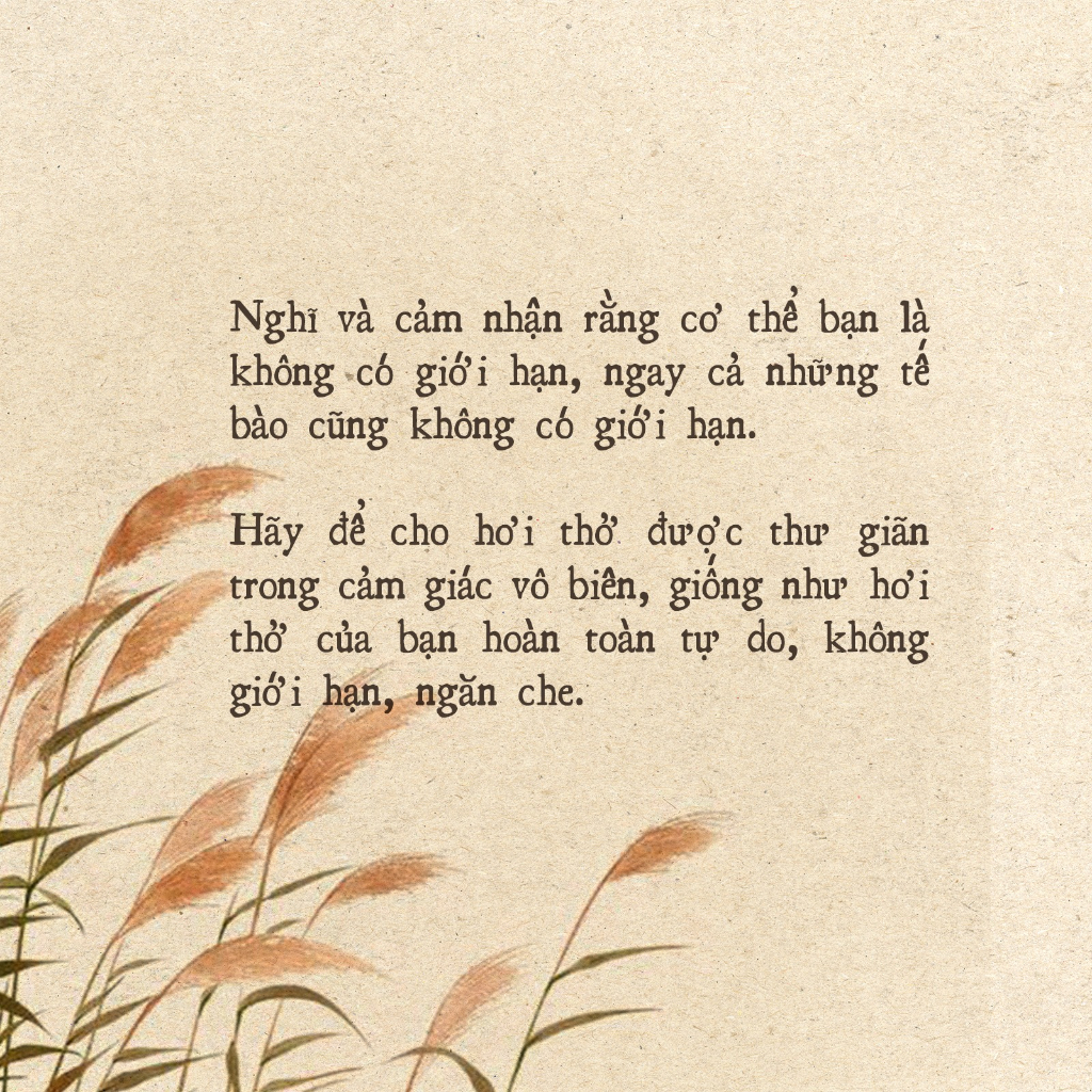 Sách - Thiền chữa lành thân và tâm