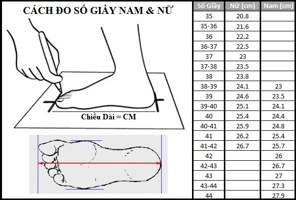 Giày Sneaker Vải Nữ VNS Classic Xanh Nhạt