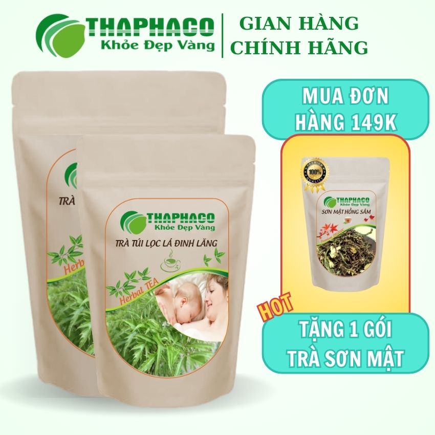 Trà túi lọc lá đinh lăng thaphaco tốt cho sinh lý