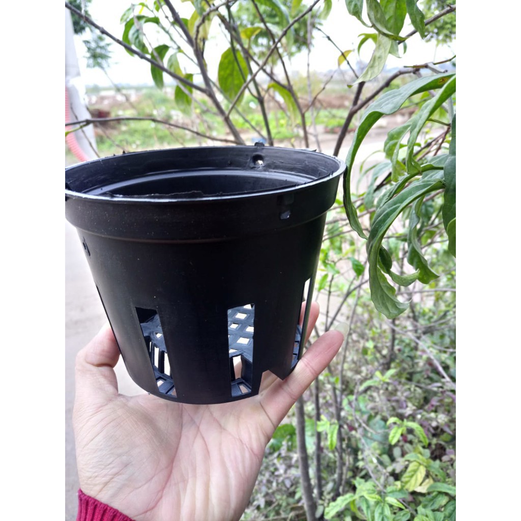 Chậu Nhựa Đen Trồng Lan Nhiều Lỗ Phi 18