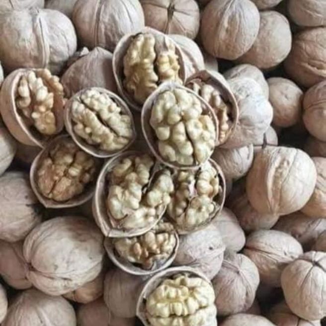 1kg quả óc chó