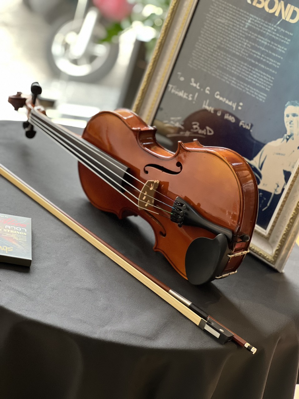Đàn Violin 4/4 Vines V10 Phân Phối Chính Hãng SolG