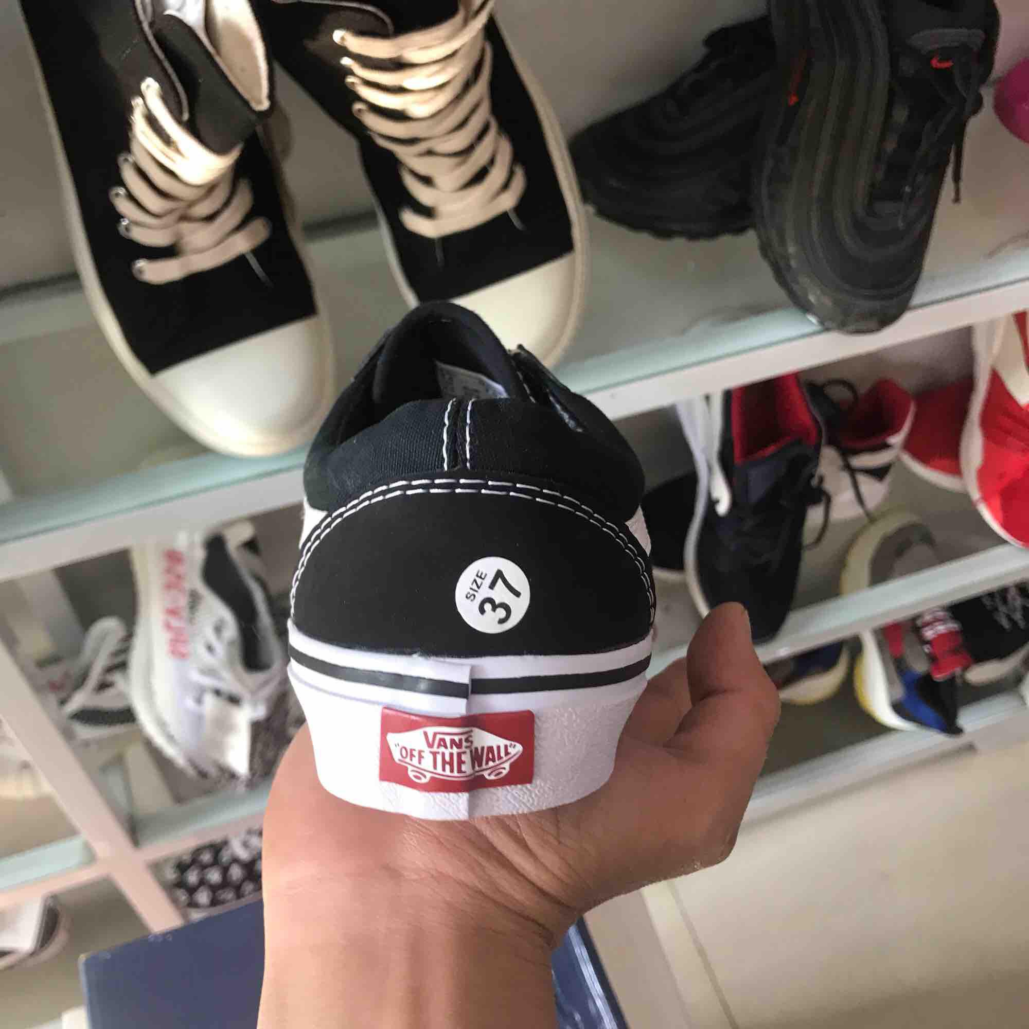 Giầy thể thao vans cá mập nam nữ 36-43