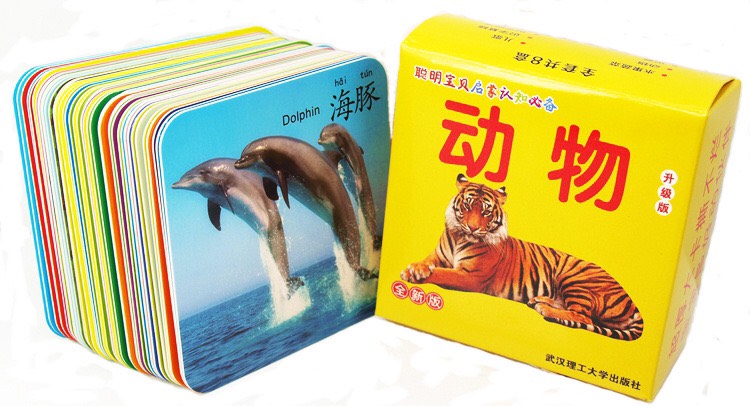 Flashcard học tiếng Trung, thẻ học từ vựng siêu xinh nhiều chủ đề