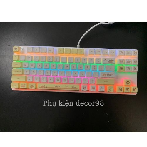 Keycap Corgi profile XDA nhựa PBT