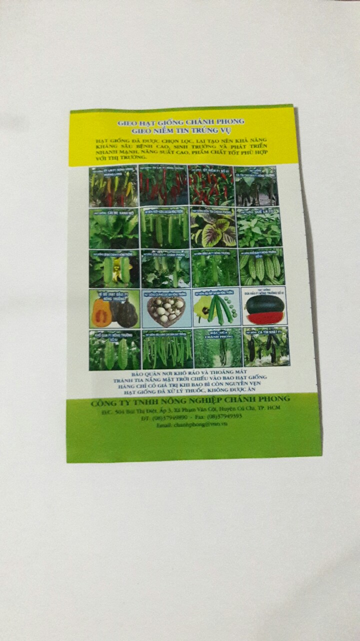 HẠT GIỐNG ỚT HIỂM F1-04 (5g)