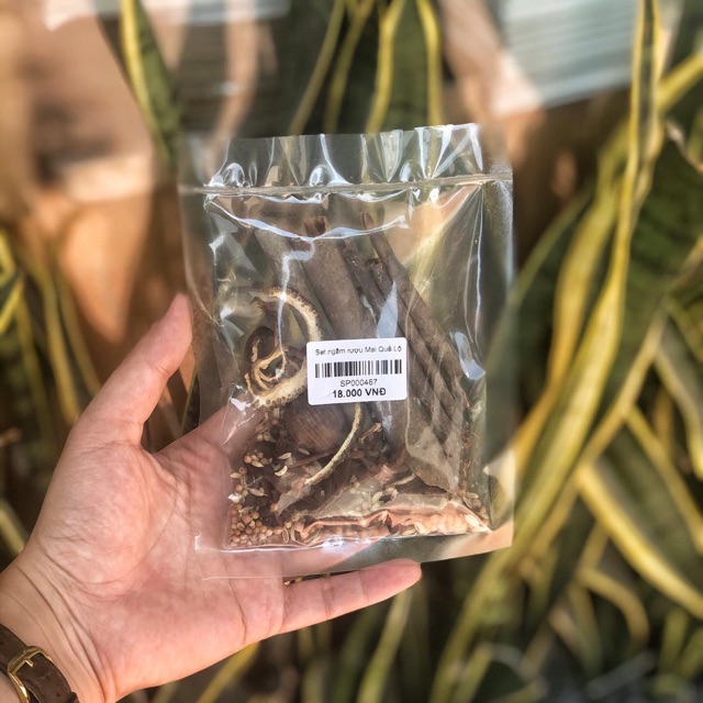 Set ngâm rượu mai quế lộ