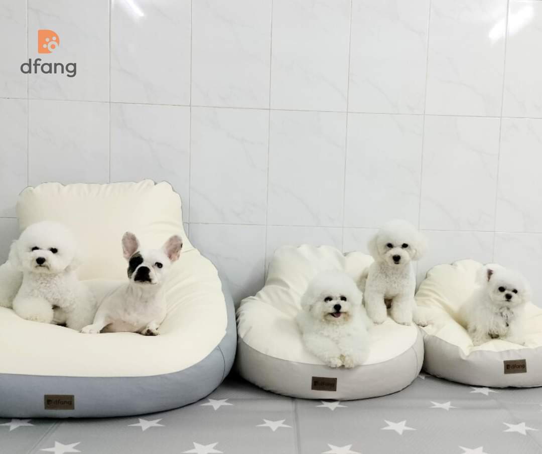 NIỆM NGỦ CHO THÚ CƯNG - Bean bags M & L