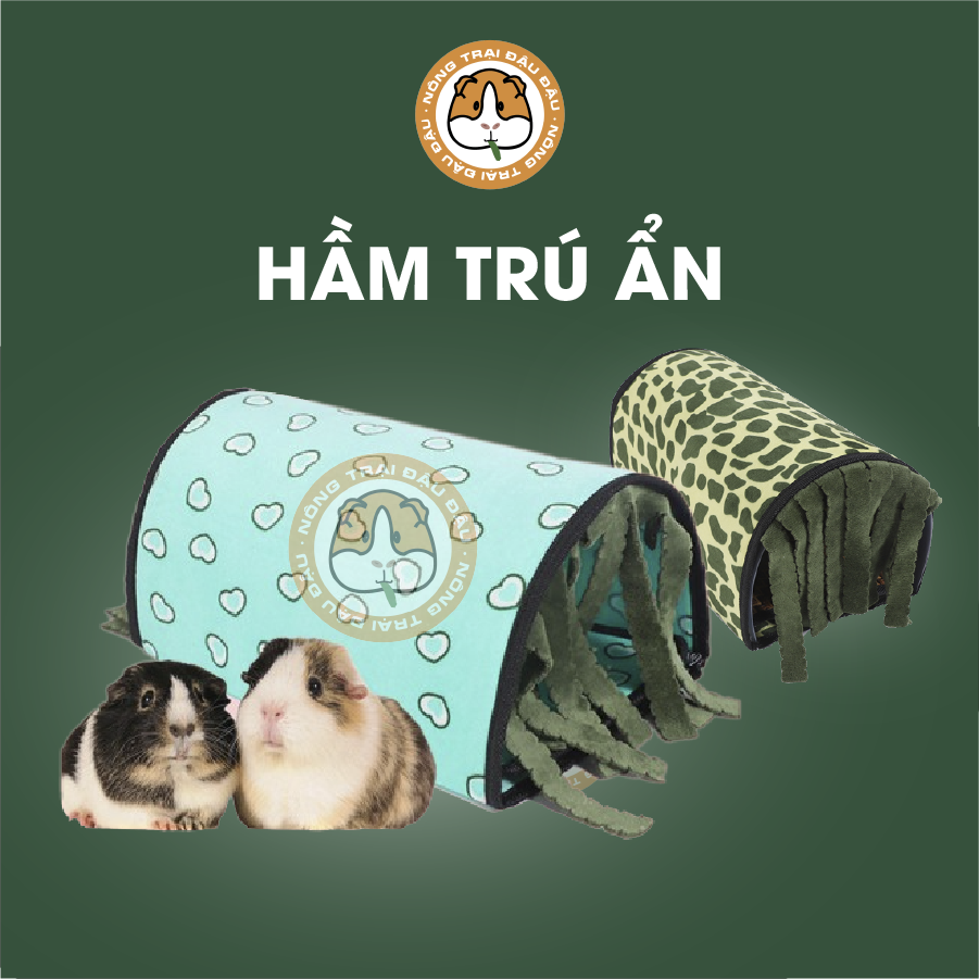 Hiding Shelter for Guinea Pigs with Curtain