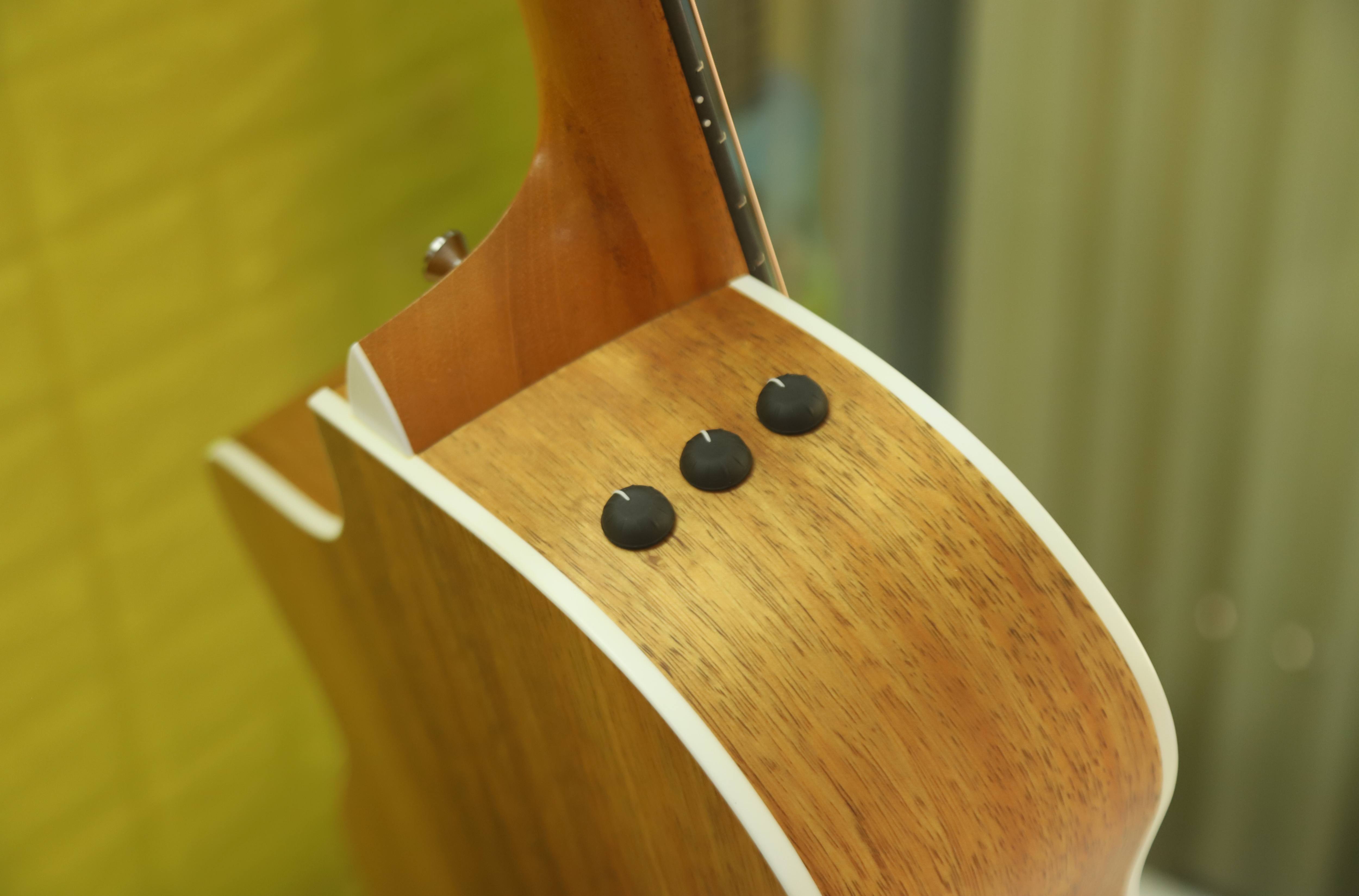 Đàn Guitar Taylor 214CE