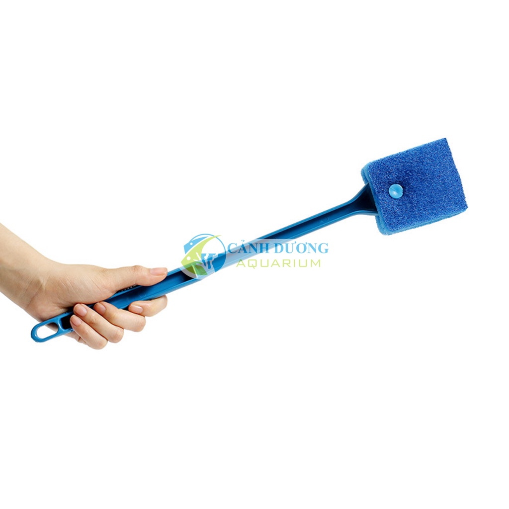Bàn chải vệ sinh bể cá chuyên dụng