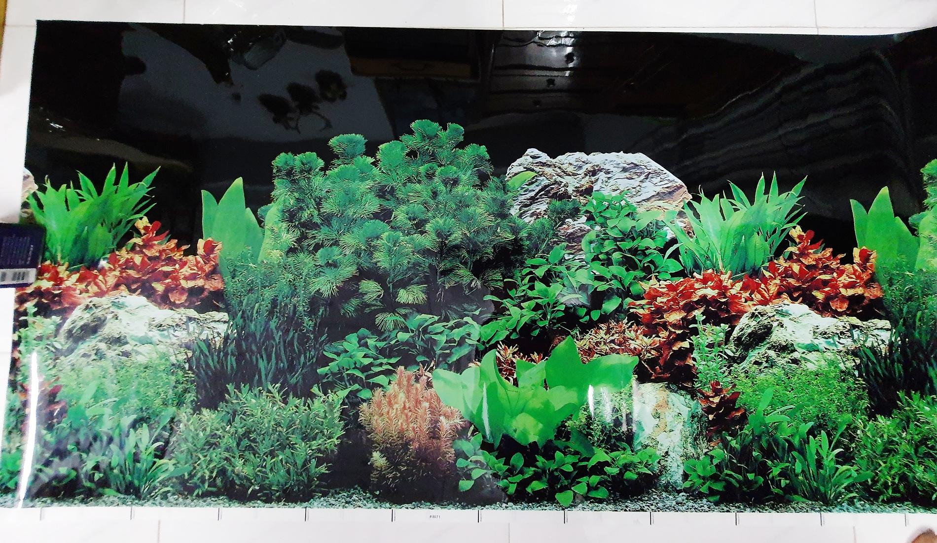 "Hoàn tiền đến 10%" TRANH DÁN HỒ CÁ 2 MẶT CAO 60CM MẪU NGẪU NHIÊN