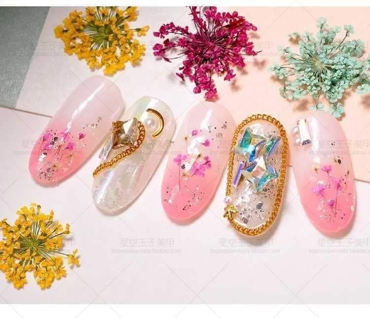 Hoa Khô Chùm Nhỏ Trang Trí Móng Set 12 Màu