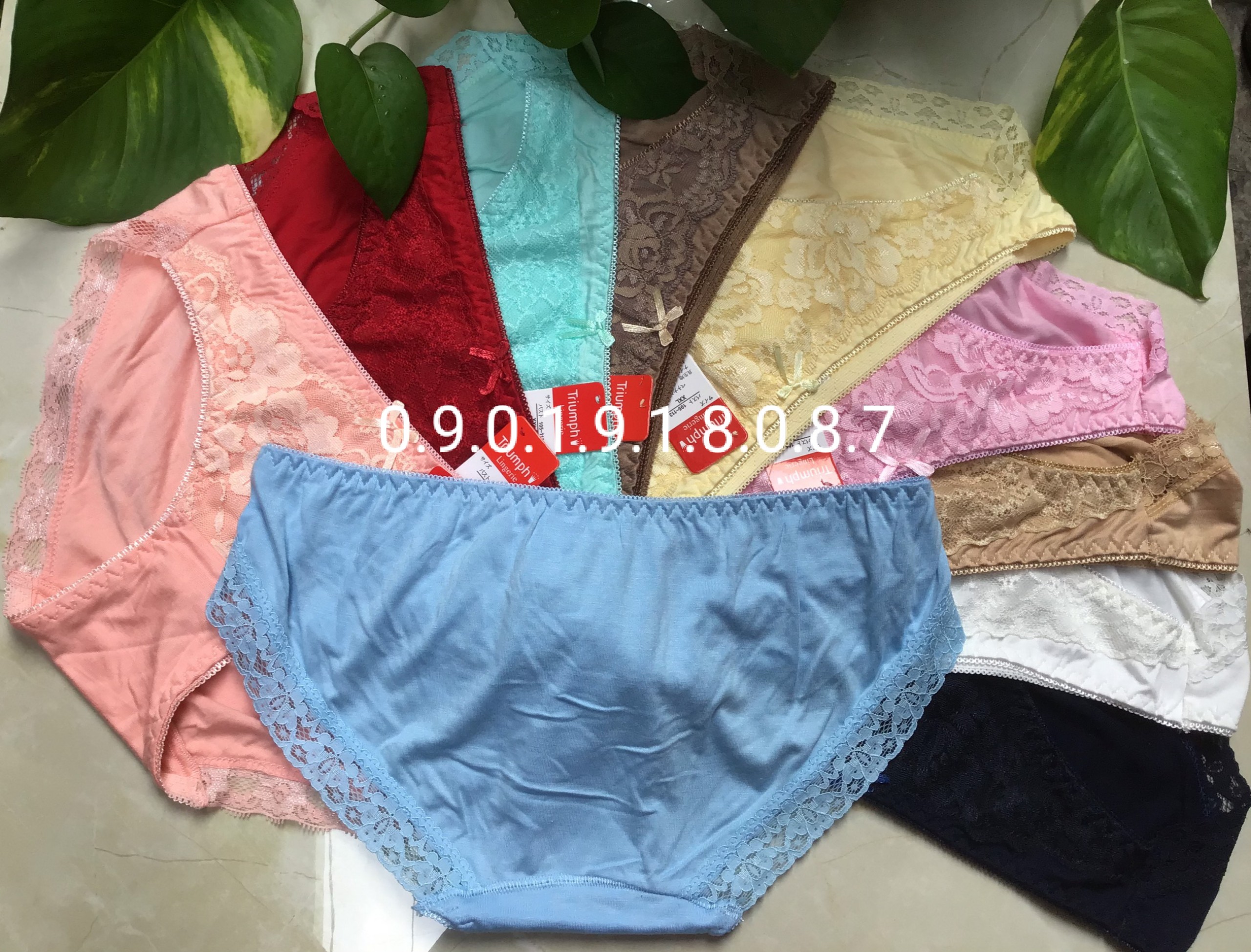 5 QUẦN LÓT NỮ CAO CẤP COTTON PHỐI REN CAO CẤP MÁT LẠNH VUADOLOT VN115