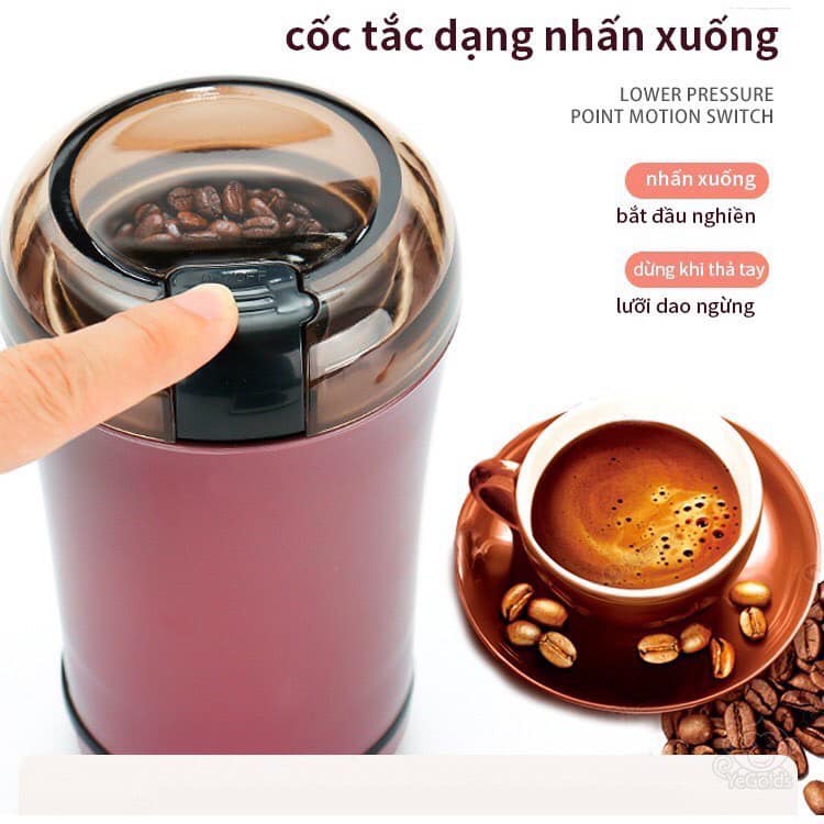 Dụng cụ xay hạt khô để bàn mini tại nhà - Máy xay nghiền hạt, ngũ cốc, tiêu, cafe vỏ máy bằng nhựa cao cấp, ruột bằng inox 304 siêu bền dễ lau chùi vệ sinh, nắp trong suốt dễ dàng nhìn được độ mịn của hạt bên trong khi xay
