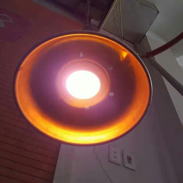 Đèn sưởi sử dụng khí biogas phục vụ chăn nuôi