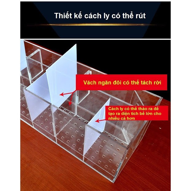 Bể cá betta 4 ngăn acrylic cao cấp có bộ lọc đáy bể