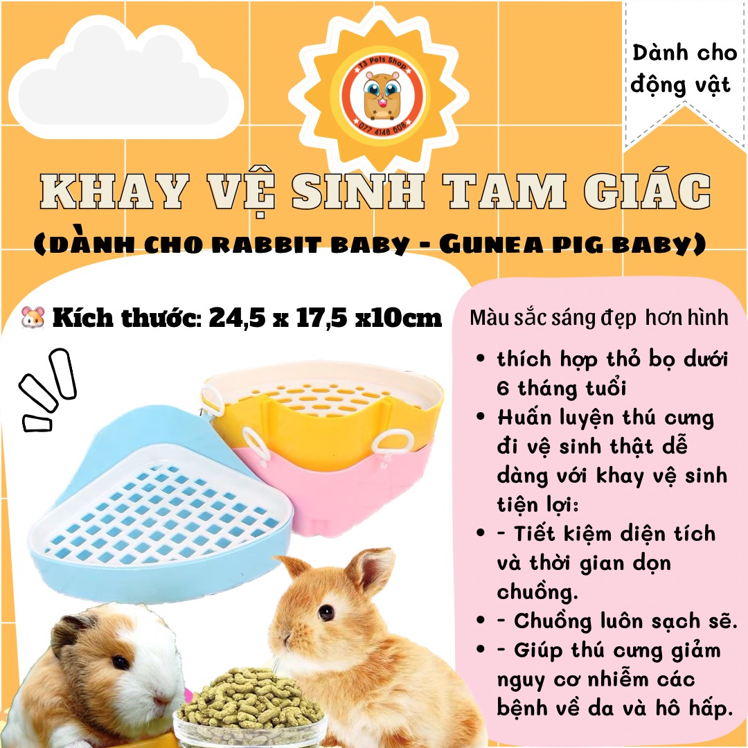 khay vệ sinh tam giác nhỏ dành cho thỏ và gunea pig baby