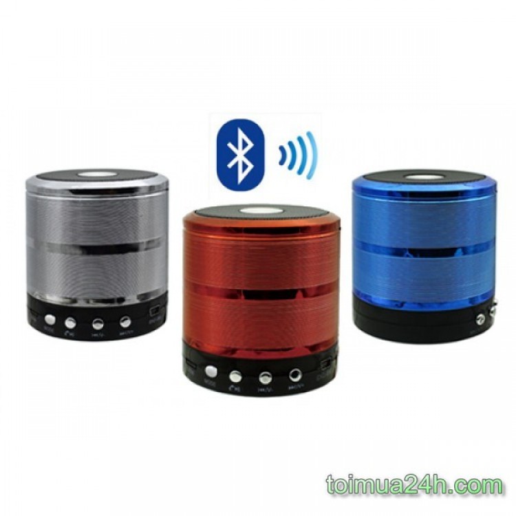 Loa bluetooth ws 887