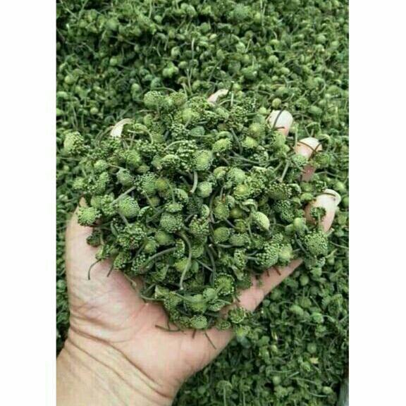 500g nụ hoa tam thất