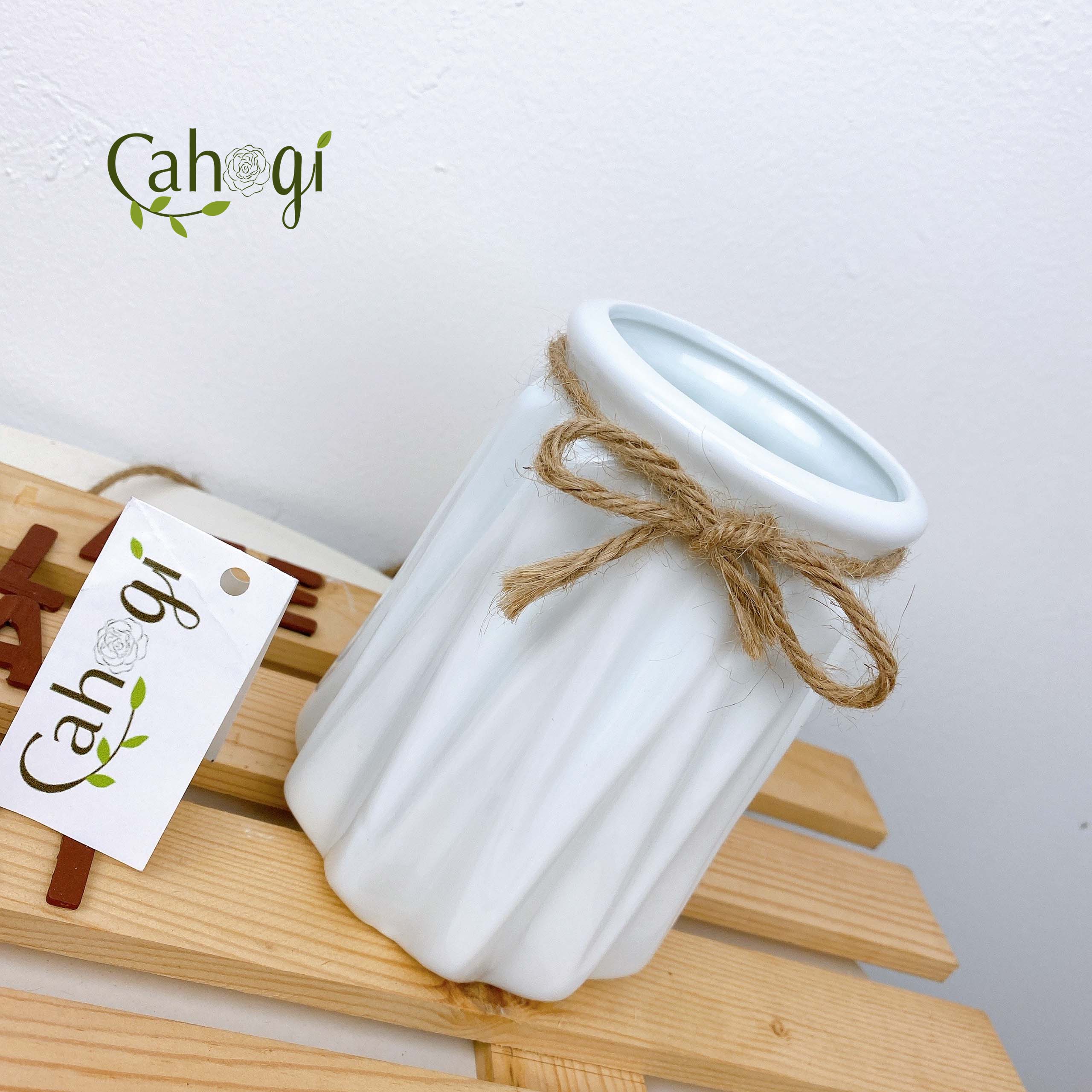 Bình Sứ Sọc Dứa Cắm Hoa