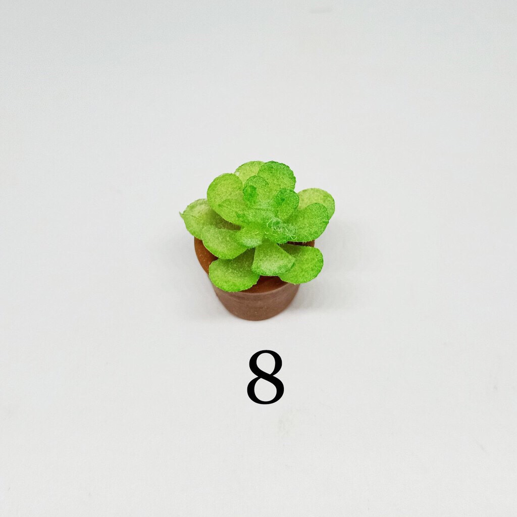 [HCM]Mô hình chậu Sen Đá nhỏ  trang trí tiểu cảnh thủy sinh terrarium chậu cây cảnh sen đá bánh kem xương rồng