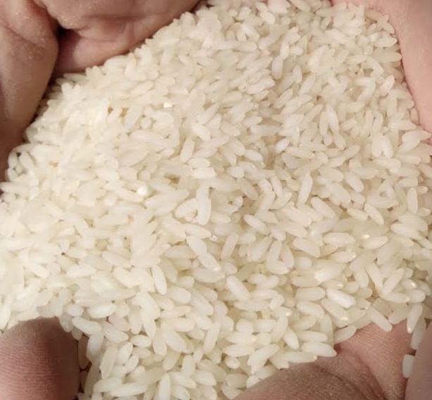 Gạo tám xoan (Đặc sản Hải Hậu Nam Định)