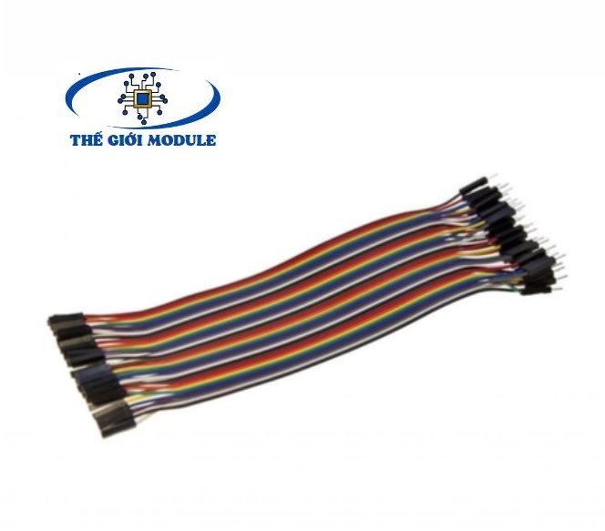 Dây bus, dây bẹ đực cái 30cm (40 sợi)