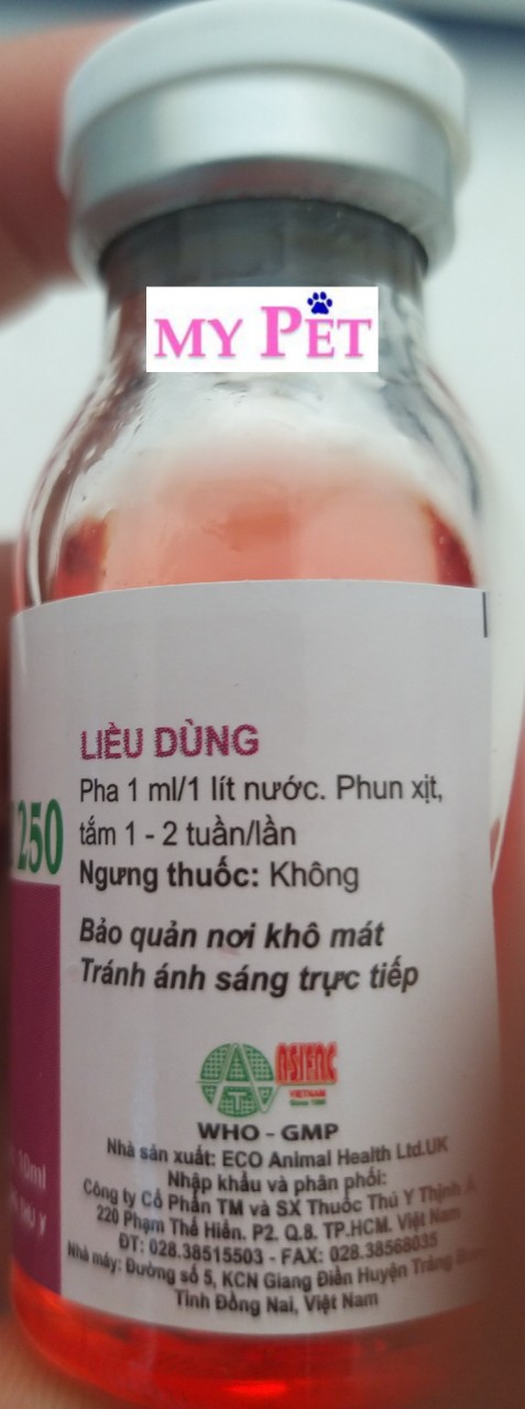 ECOTRAZ - GHẺ, VE, BỌ CHÉT TRÊN CHÓ