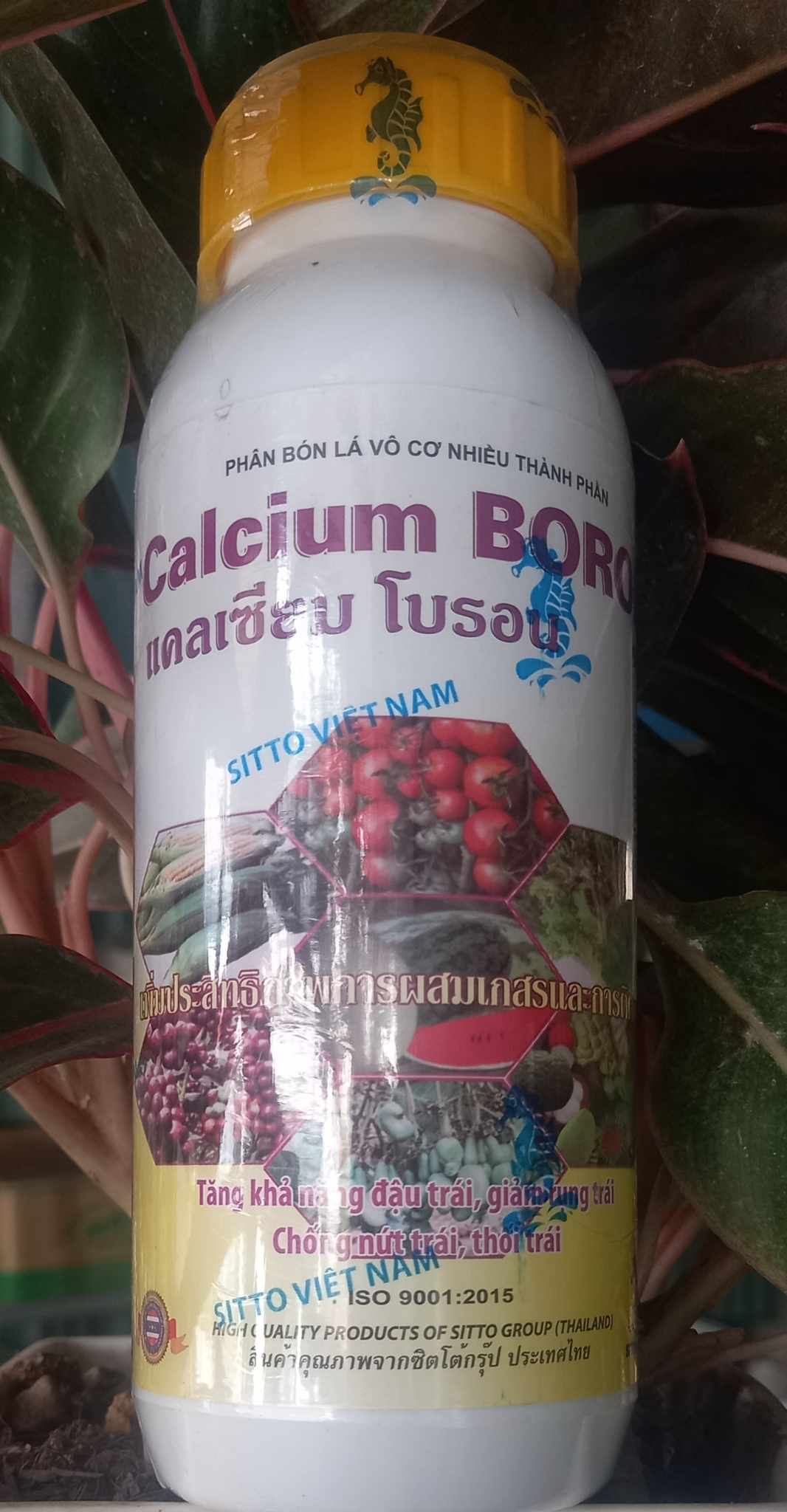 Phân bón lá sinh học Calcium BORON 500ml, Sitto Việt Nam