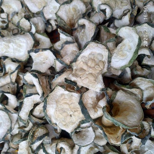 Bí đao sấy lạnh 100g