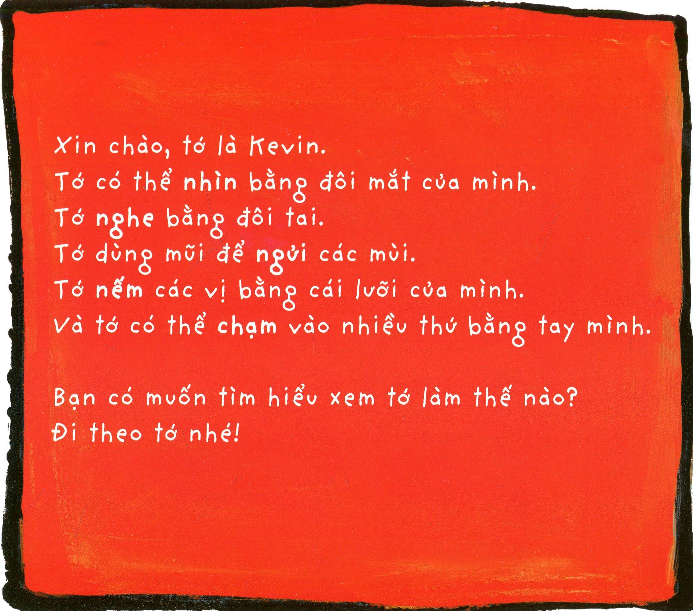 Cuốn Sách Lớn Rực Rỡ Về Giác Quan