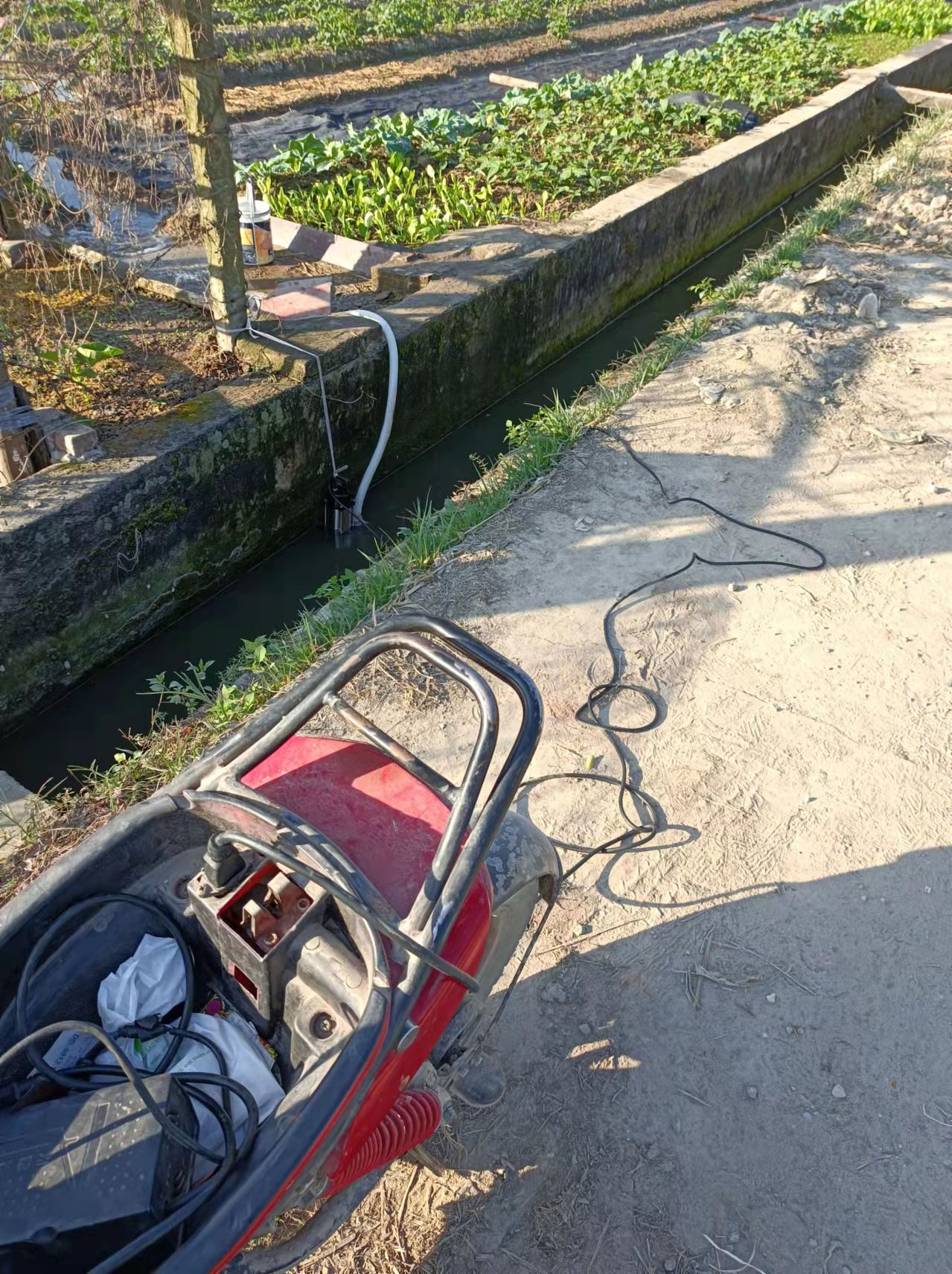 Bơm nước solar Dc 24v 48v 5m3/h