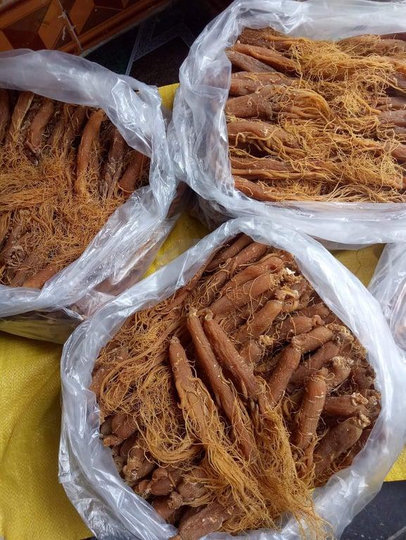 Hồng sâm khô 100g