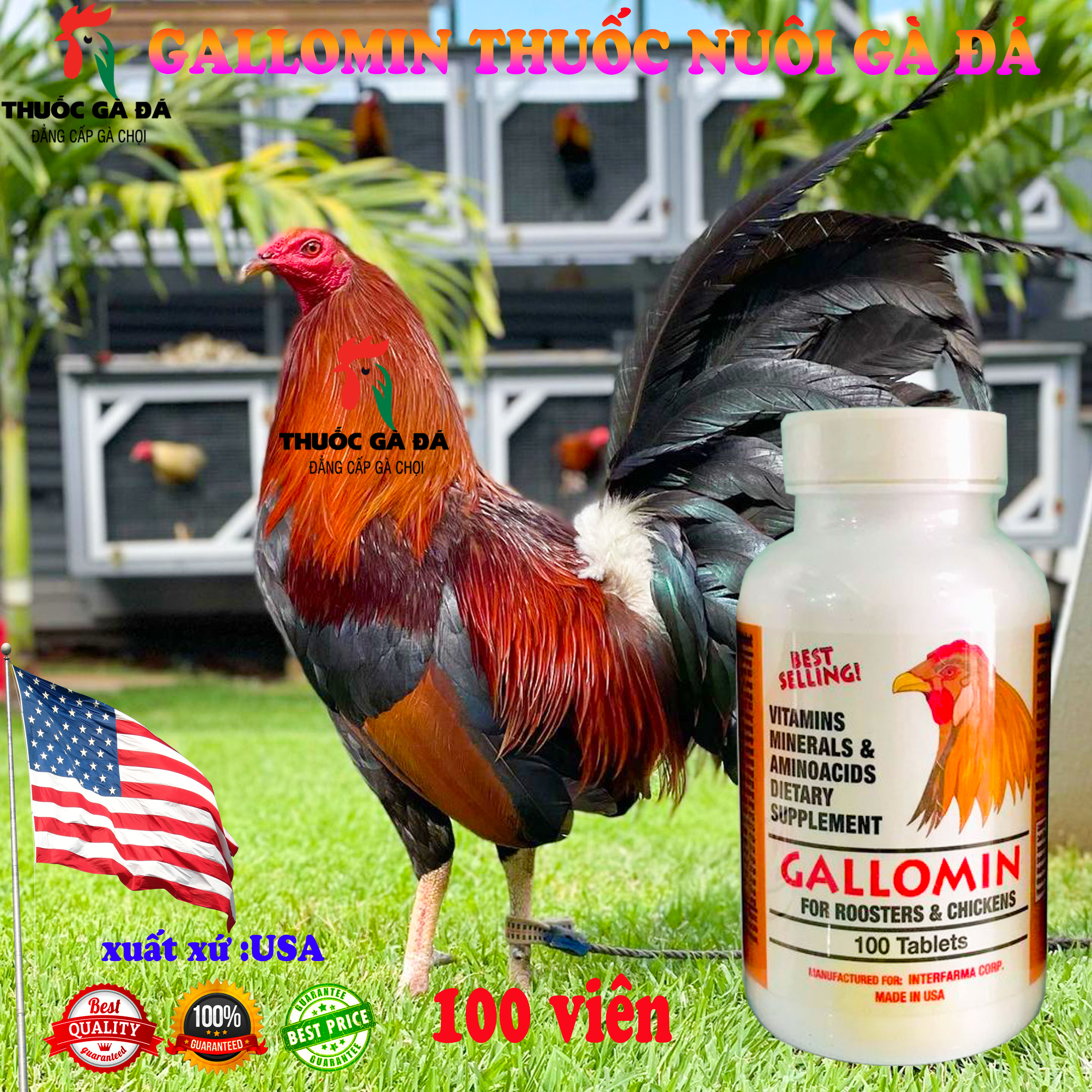 GALLOMIN dinh dưỡng cho gà đá 100 viên