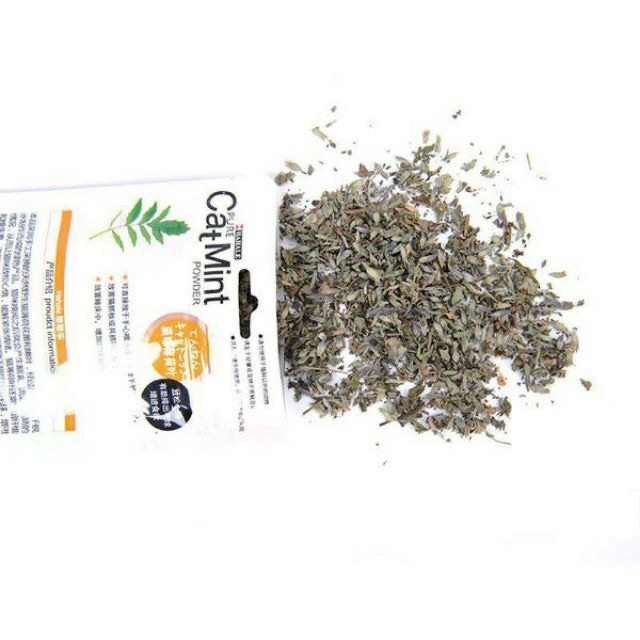 Cỏ Bạc Hà/ Catnip/ Catmint Cho Mèo