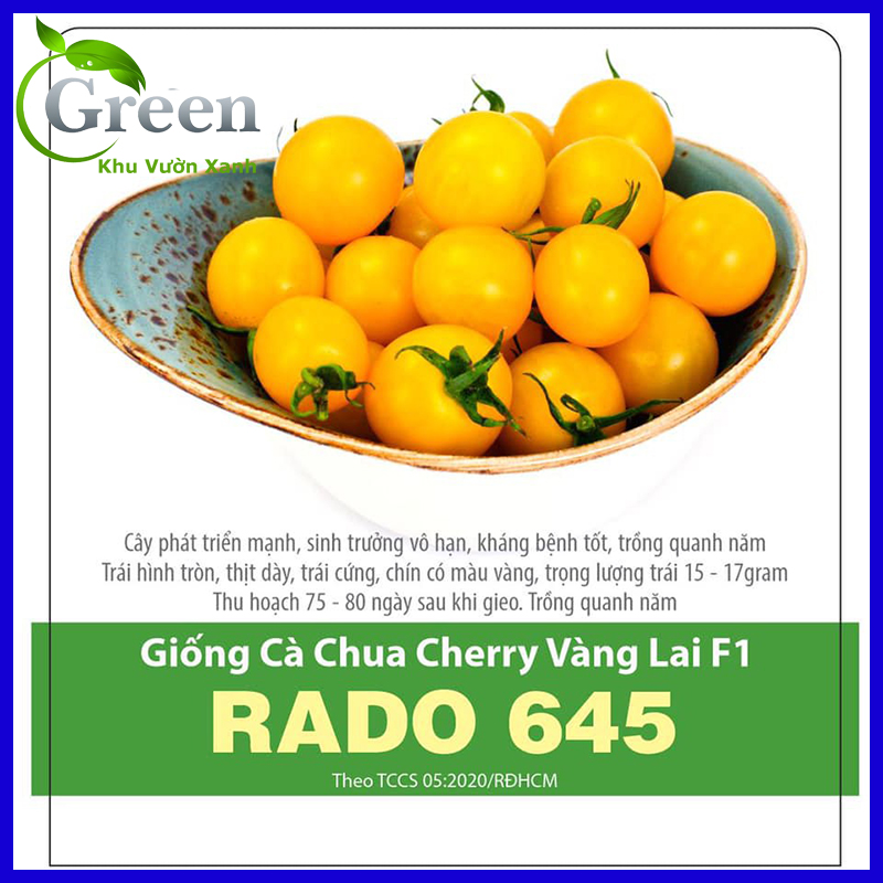 Hạt giống cà chua cherry vàng lai f1