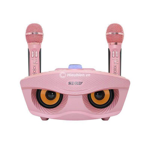 Loa Bluetooth Karaoke SDRD SD-306 - SD-306 Hát Karaoke Không Dây 2 Micro