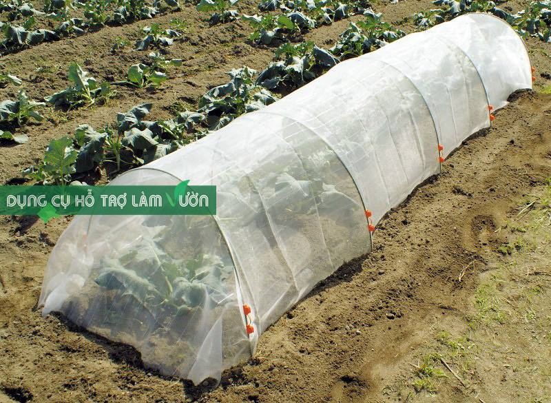 10 Khung vòm trồng rau Nhật Bản