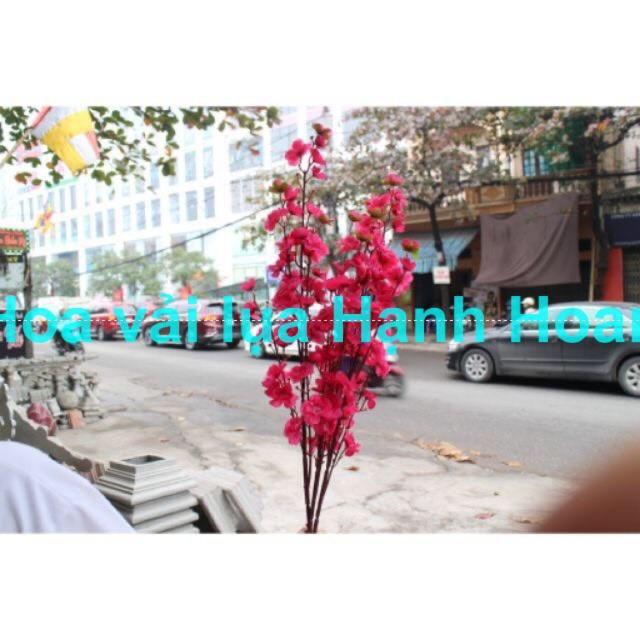 Combo sỉ 10 cành hoa anh đào- hoa vải lụa