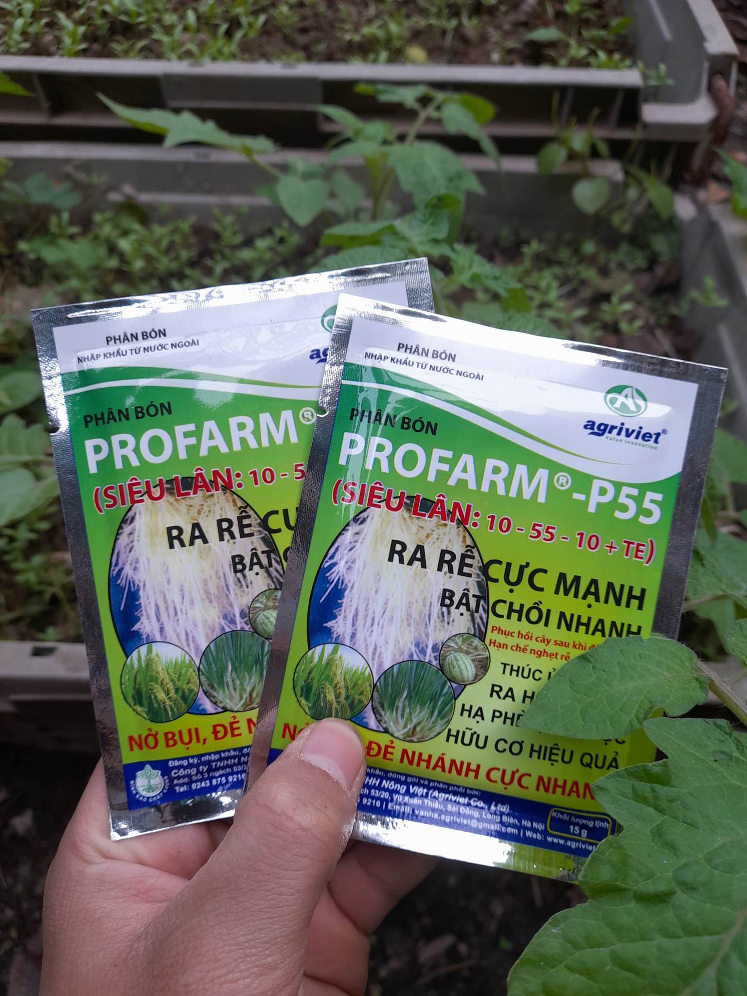 Phân Bón PROFARM kích thích cây tạo rễ