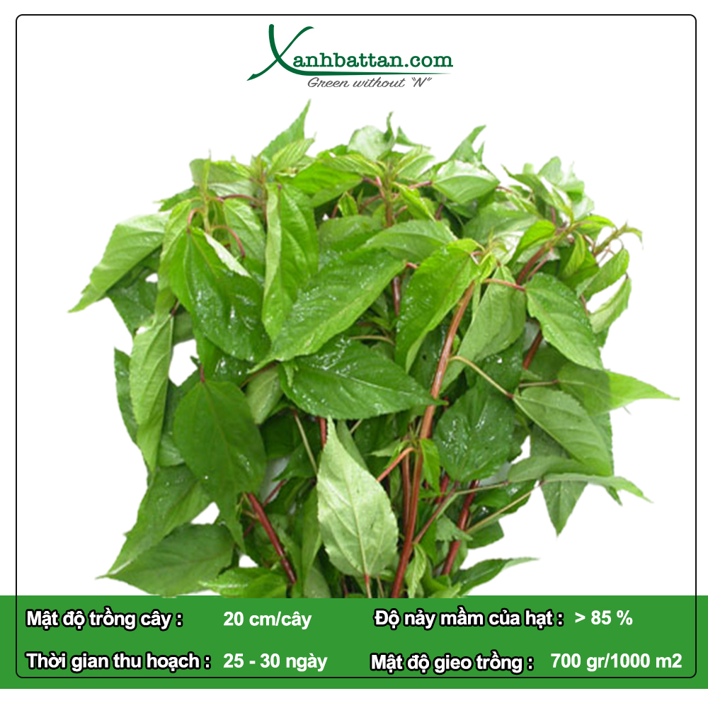 Hạt Giống Rau Đay Đỏ Phú Nông Gói 20 Gram