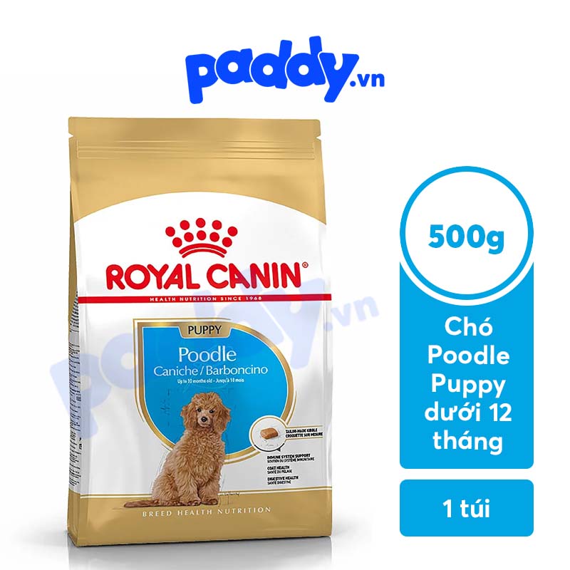 Hạt Cho Chó Con Poodle Royal Canin Poodle Puppy