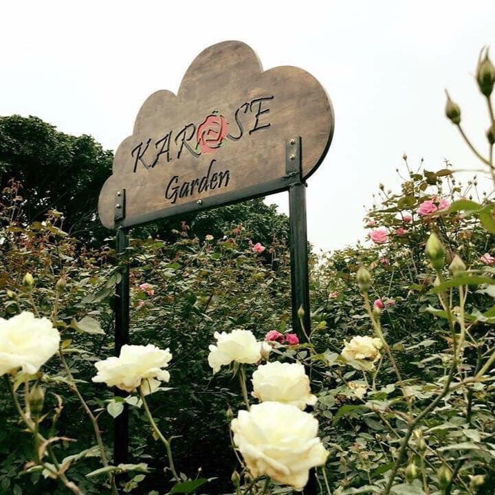 Nước gội đầu karose shine